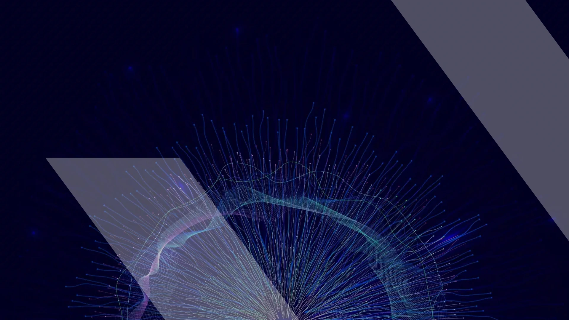 network